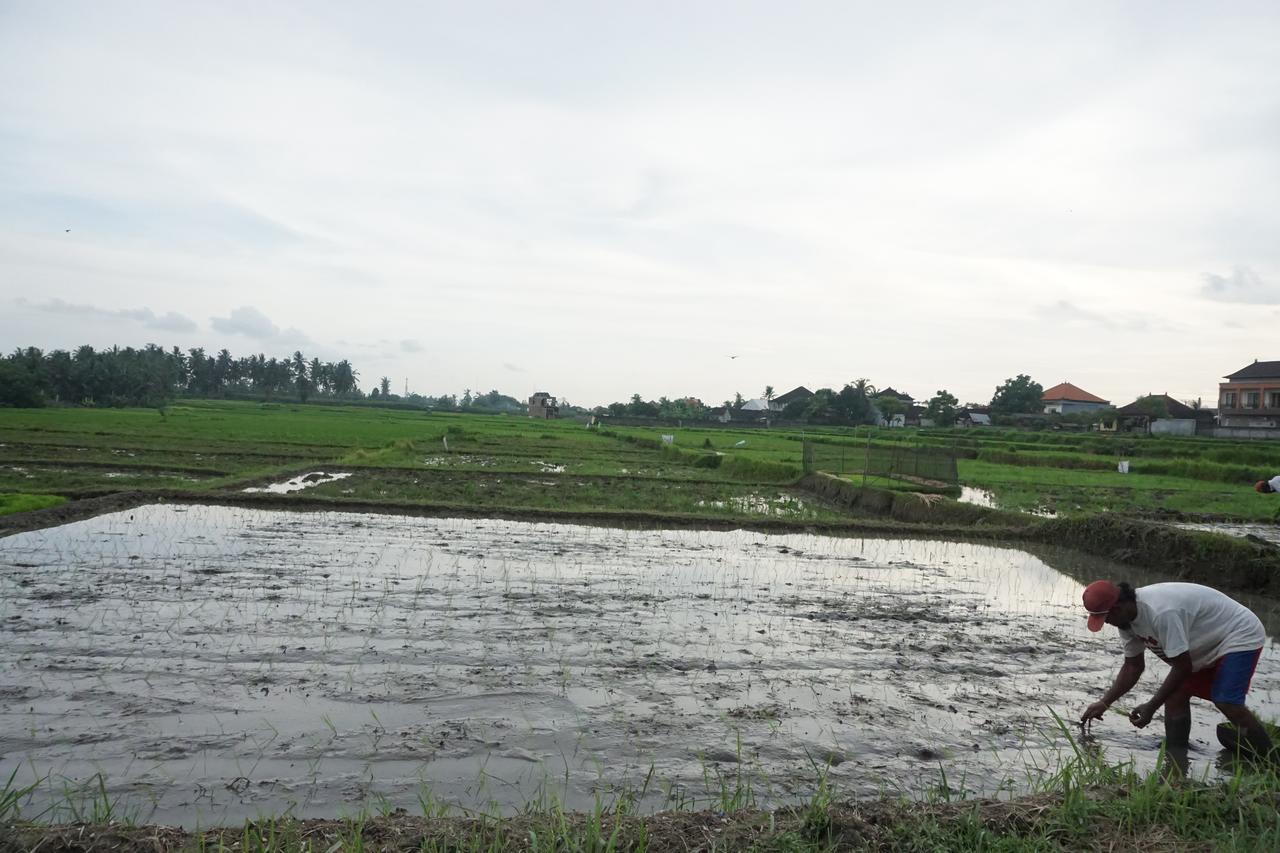 Pondok Uma Ubud Exterior foto